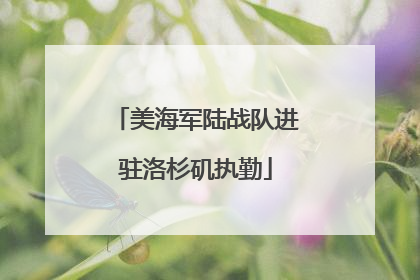 美海军陆战队进驻洛杉矶执勤
