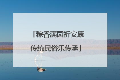 粽香满园祈安康 传统民俗乐传承