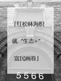 红松林海织就“生态+”富民画卷