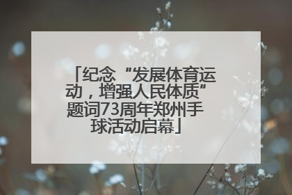 纪念“发展体育运动，增强人民体质”题词73周年郑州手球活动启幕