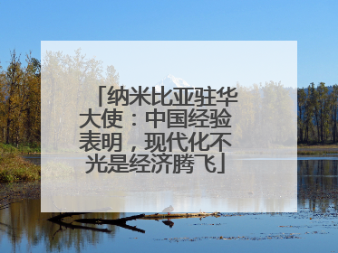 纳米比亚驻华大使：中国经验表明，现代化不光是经济腾飞
