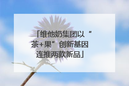 维他奶集团以“茶+果”创新基因连推两款新品