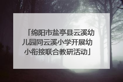 绵阳市盐亭县云溪幼儿园同云溪小学开展幼小衔接联合教研活动