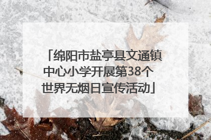 绵阳市盐亭县文通镇中心小学开展第38个世界无烟日宣传活动