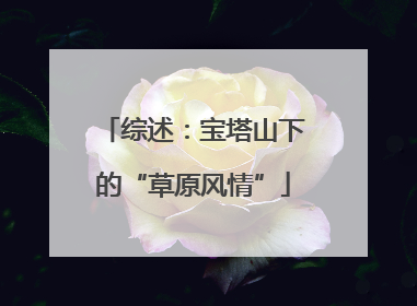 综述：宝塔山下的“草原风情”