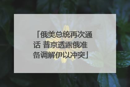 俄美总统再次通话 普京透露俄准备调解伊以冲突