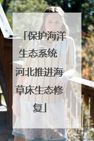 保护海洋生态系统 河北推进海草床生态修复