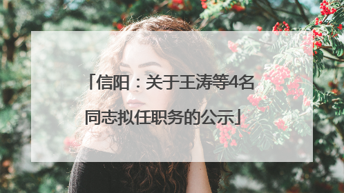 信阳：关于王涛等4名同志拟任职务的公示