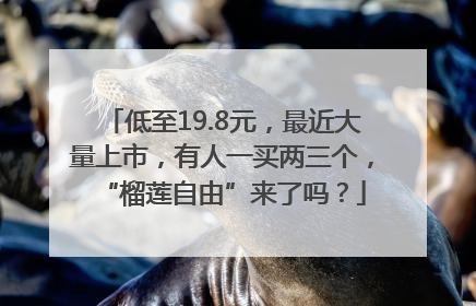 低至19.8元，最近大量上市，有人一买两三个，“榴莲自由”来了吗？