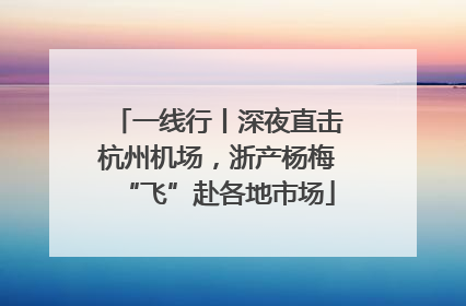 一线行丨深夜直击杭州机场，浙产杨梅“飞”赴各地市场