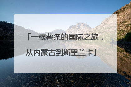 一根薯条的国际之旅，从内蒙古到斯里兰卡