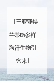 三亚亚特兰蒂斯多样海洋生物引客来