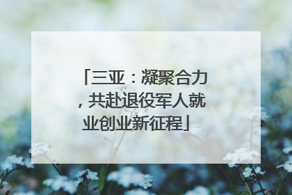 三亚：凝聚合力，共赴退役军人就业创业新征程