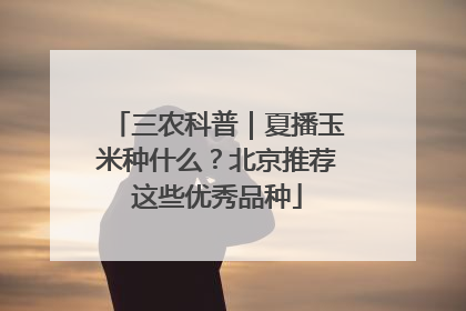 三农科普｜夏播玉米种什么？北京推荐这些优秀品种