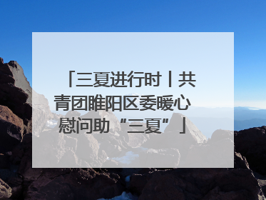 三夏进行时丨共青团睢阳区委暖心慰问助“三夏”