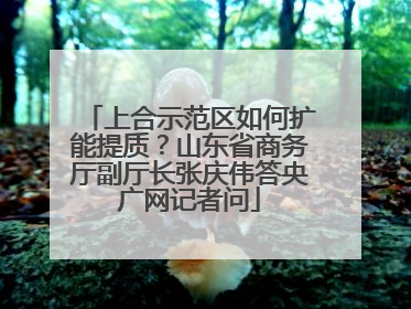 上合示范区如何扩能提质？山东省商务厅副厅长张庆伟答央广网记者问
