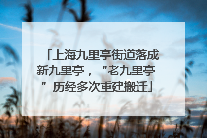 上海九里亭街道落成新九里亭，“老九里亭”历经多次重建搬迁