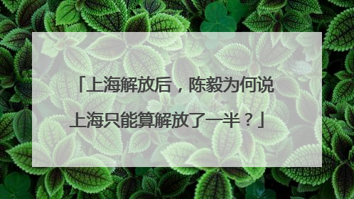 上海解放后，陈毅为何说上海只能算解放了一半？