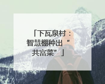 下瓦泉村：智慧棚种出“共富菜”