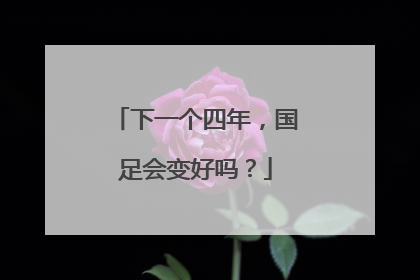 下一个四年，国足会变好吗？