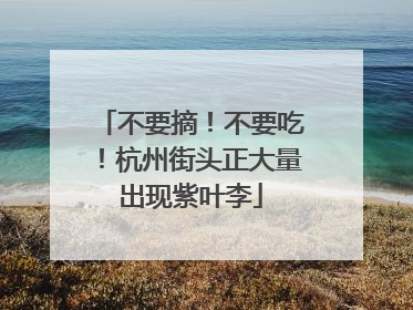 不要摘！不要吃！杭州街头正大量出现紫叶李