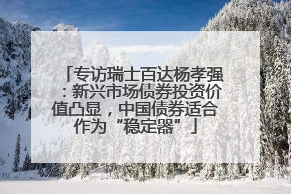 专访瑞士百达杨孝强：新兴市场债券投资价值凸显，中国债券适合作为“稳定器”