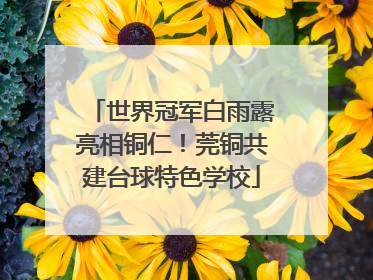 世界冠军白雨露亮相铜仁！莞铜共建台球特色学校