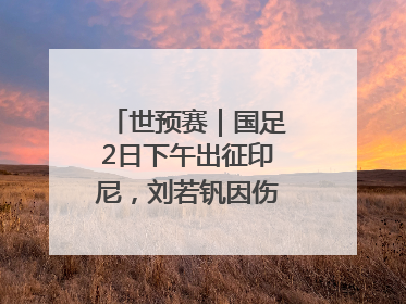 世预赛｜国足2日下午出征印尼，刘若钒因伤落选大名单