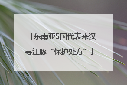 东南亚5国代表来汉寻江豚“保护处方”