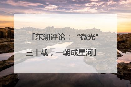 东湖评论：“微光”三十载，一朝成星河