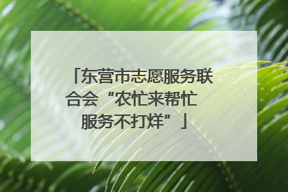 东营市志愿服务联合会“农忙来帮忙 服务不打烊”