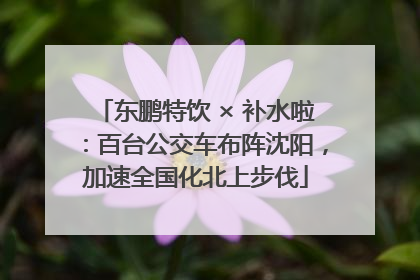 东鹏特饮 × 补水啦：百台公交车布阵沈阳，加速全国化北上步伐