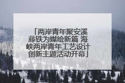两岸青年聚安溪 藤铁为媒绘新篇 海峡两岸青年工艺设计创新主题活动开幕