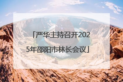 严华主持召开2025年邵阳市林长会议