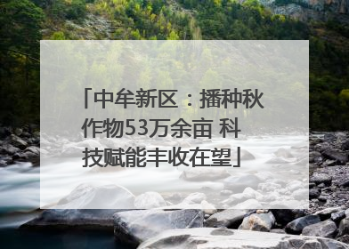 中牟新区：播种秋作物53万余亩 科技赋能丰收在望