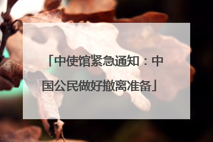 中使馆紧急通知：中国公民做好撤离准备