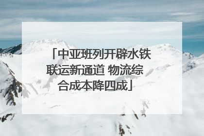 中亚班列开辟水铁联运新通道 物流综合成本降四成