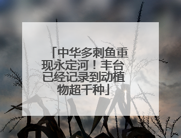 中华多刺鱼重现永定河！丰台已经记录到动植物超千种