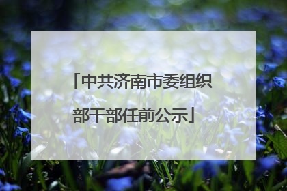 中共济南市委组织部干部任前公示