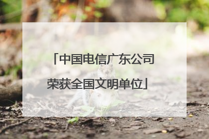 中国电信广东公司荣获全国文明单位