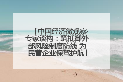 中国经济微观察·专家谈构：筑抵御外部风险制度防线 为民营企业保驾护航