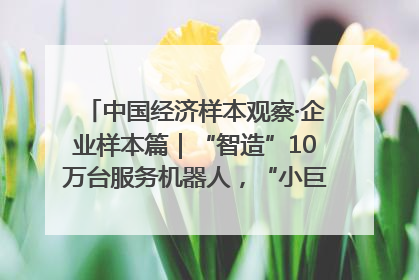 中国经济样本观察·企业样本篇｜“智造”10万台服务机器人，“小巨人”擎朗有大梦想