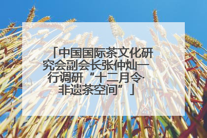 中国国际茶文化研究会副会长张仲灿一行调研“十二月令·非遗茶空间”