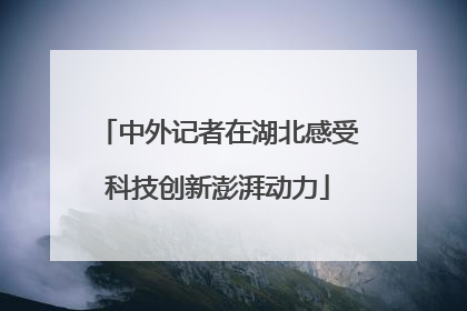 中外记者在湖北感受科技创新澎湃动力