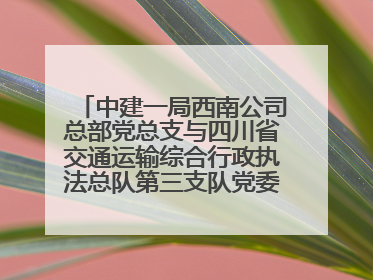 中建一局西南公司总部党总支与四川省交通运输综合行政执法总队第三支队党委、万源市草坝镇莲花院村党支部开展党建联建