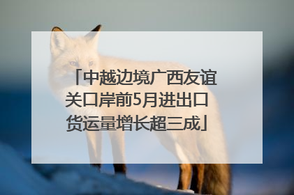 中越边境广西友谊关口岸前5月进出口货运量增长超三成