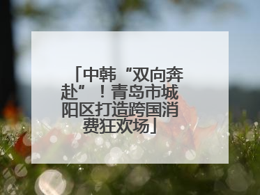 中韩“双向奔赴”！青岛市城阳区打造跨国消费狂欢场