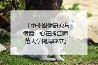 中非媒体研究与传播中心在浙江师范大学揭牌成立