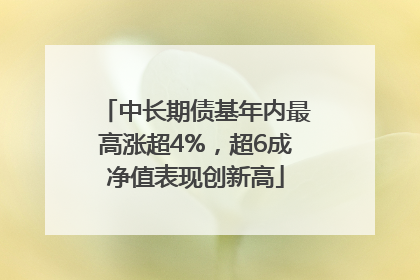 中长期债基年内最高涨超4%，超6成净值表现创新高