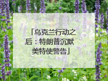 乌克兰行动之后：特朗普沉默 美特使警告
